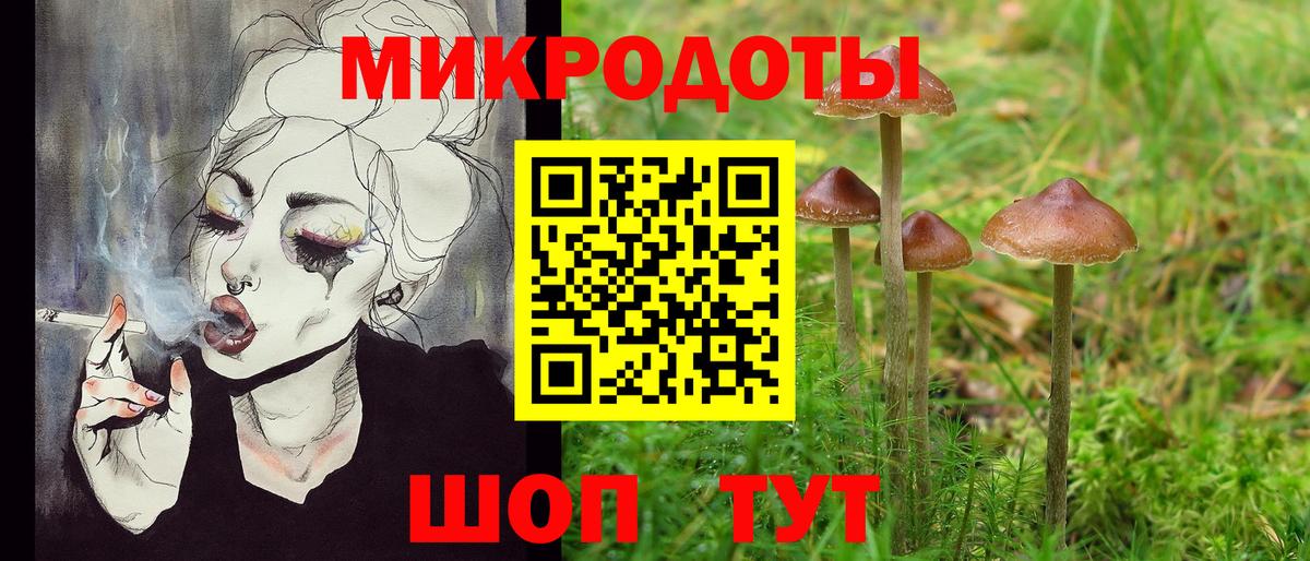 Семилуки  наркошоп  Вход с VPN  Псилоцибиновые грибы Psilocybe 