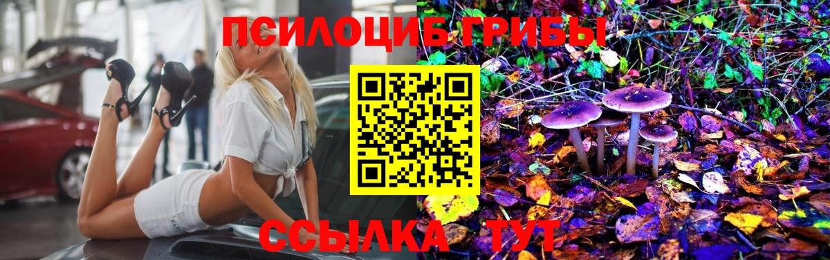 Галлюциногенные грибы прущие грибы Семилуки